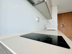 Stirling Residences (D3), Apartment #549909081